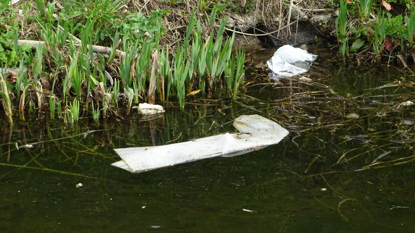 250324 Saeftinghe Cleanup5